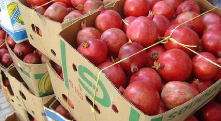 ضعف بسته‌بندی مانع صادرات محصولات باغی در کرمانشاه