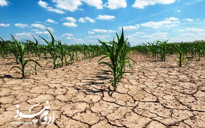 کشاورزی در زمین تشنه؛ اینجا آب کیمیاست