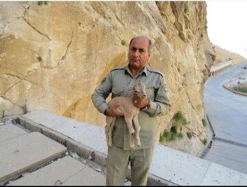 جزییات شهادت یک محیط‌بان در منطقه حفاظت شده خائیز 