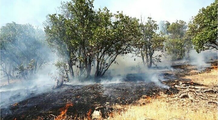 مهار کامل آتش‌سوزی ۸۰ هکتاری جنگل گلستان