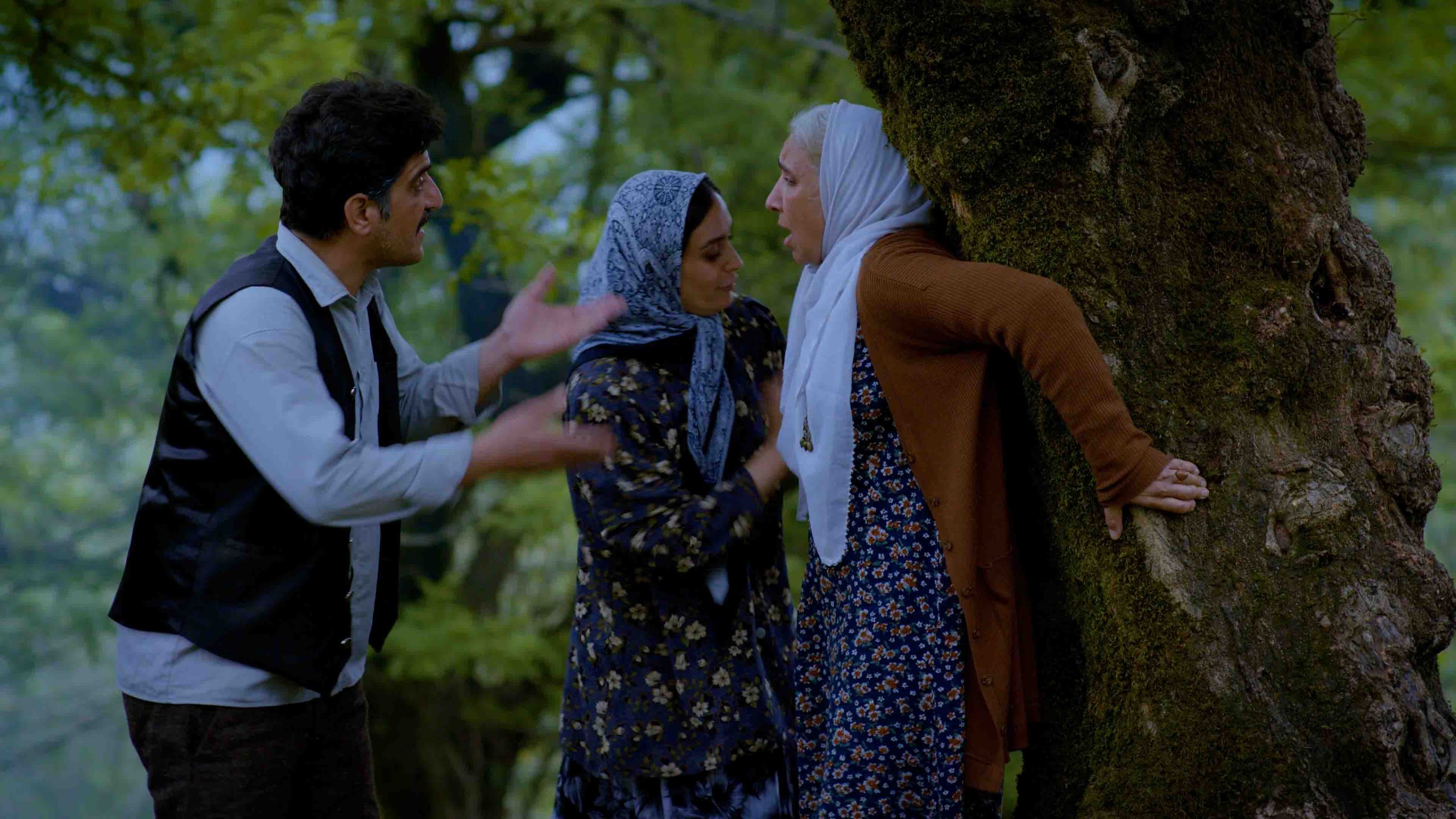 فیلم کوتاه «دار» به ارمنستان می‌رود