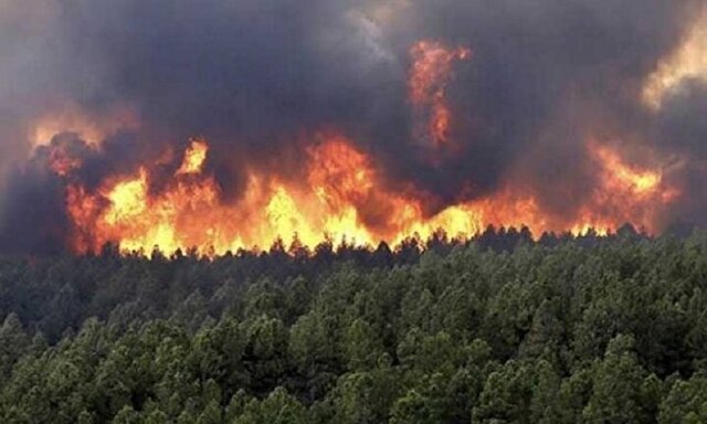 آتش‌افروزی عمدی ارتش رژیم صهیونیستی در اراضی سوریه 