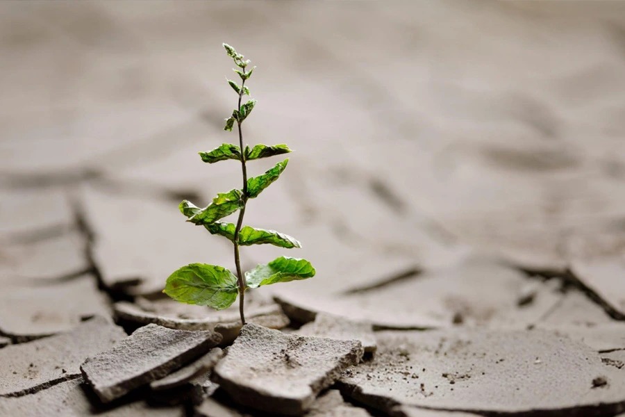 کلید طلایی آرامش/ ۵ گام علمی برای تبدیل مشکلات به فرصت