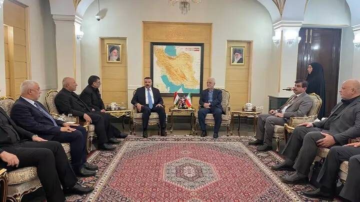 وزیر کشور عراق وارد تهران شد