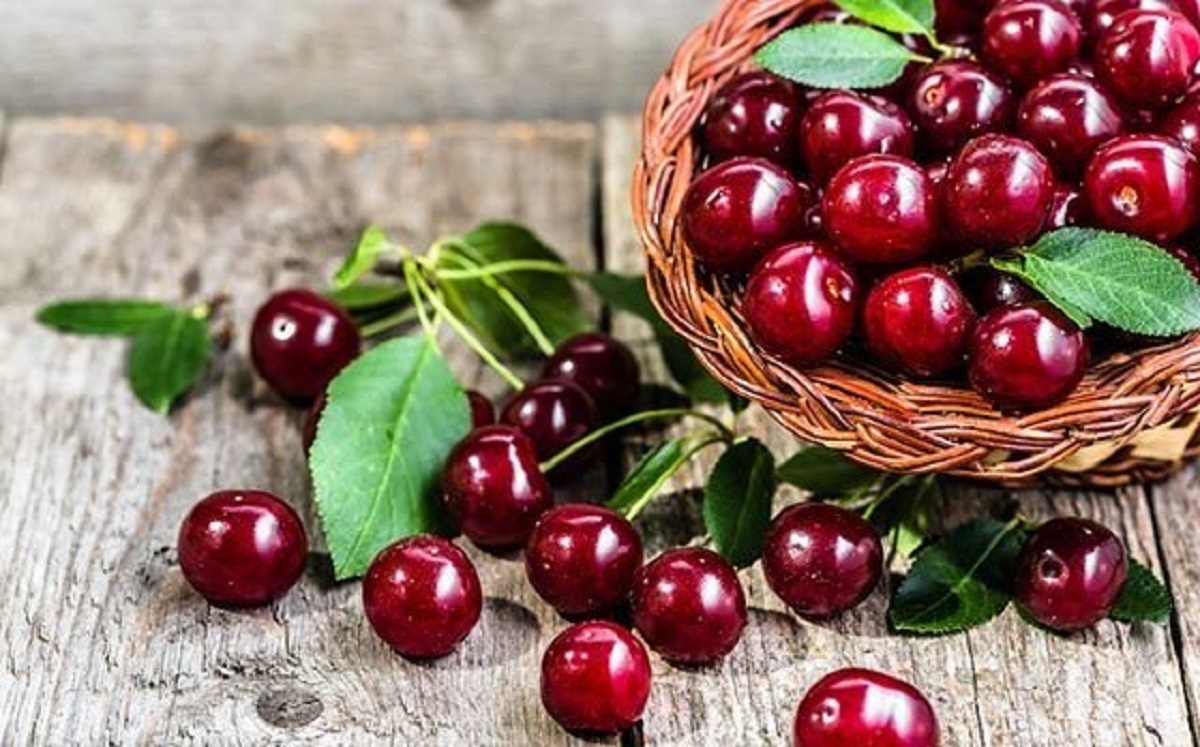 خواص گیلاس برای قلب و دیابت/ منبع طبیعی آنتی‌اکسیدان‌ها