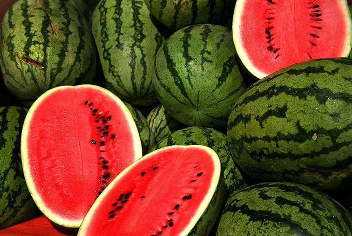 میوهای برای روزهای داغ؛ هندوانه چگونه بدن را خنک و سالم نگه میدارد؟