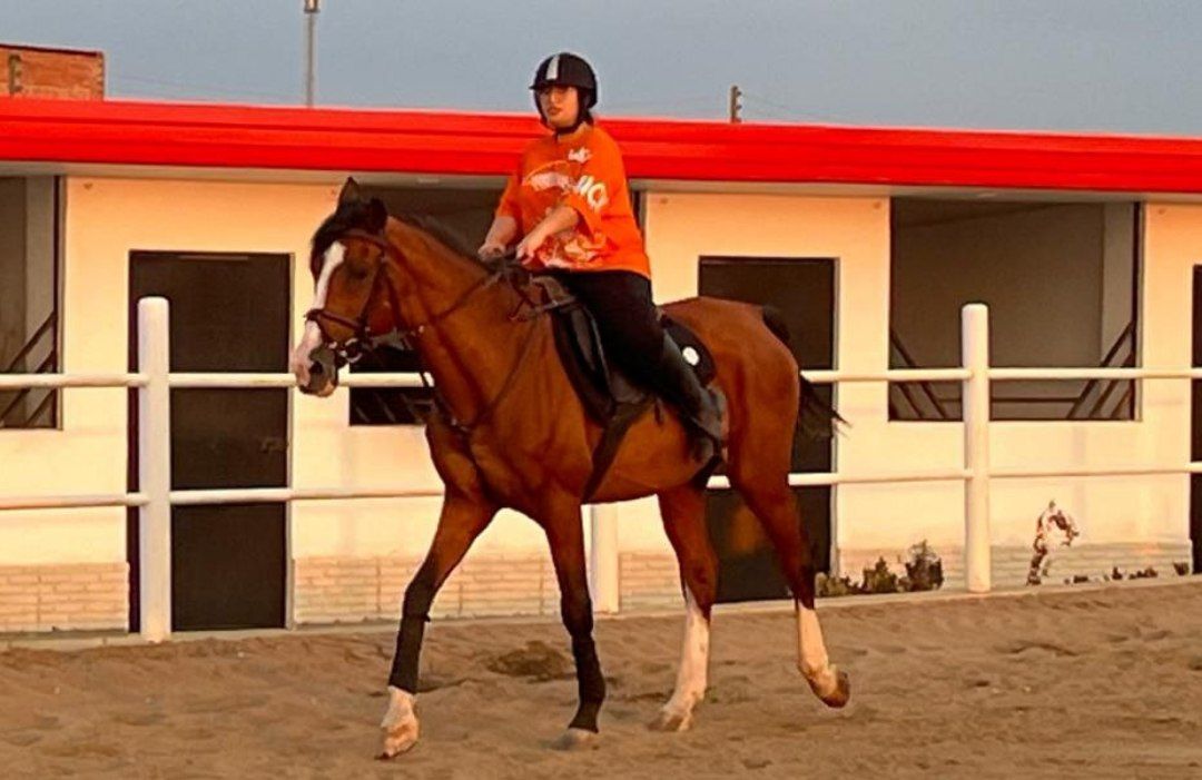 آمادگی پاراسوارکاران برای حضور در اولین رویداد برون مرزی