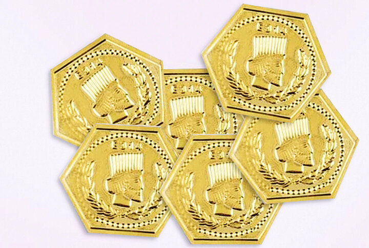 تفاوت سکه گرمی و سکه پارسیان چیست؟