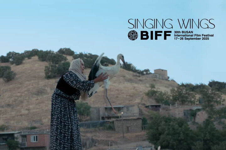 پرواز «بال‌های آوازخوان» به جشنواره بوسان