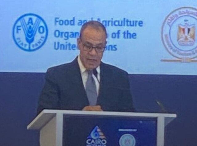 تأکید وزیر خارجه مصر بر لزوم ورود کمک‌های انسانی به غزه