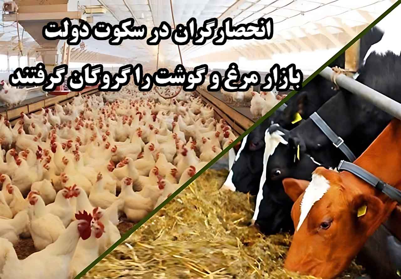 با وجود واردات بیشتر نهاده، قیمت گوشت و مرغ افزایش یافت؛ انحصارگران در سکوت دولت بازار را گروگان گرفتند