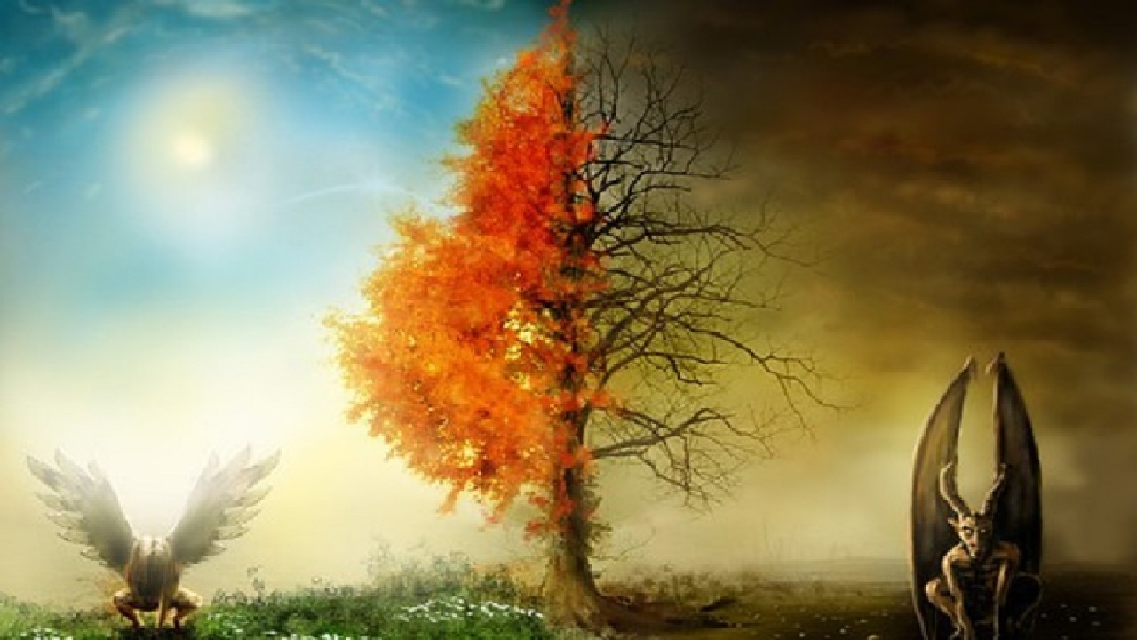 آیا در برزخ امکان یادگیری و تعلیم و تعلم است؟