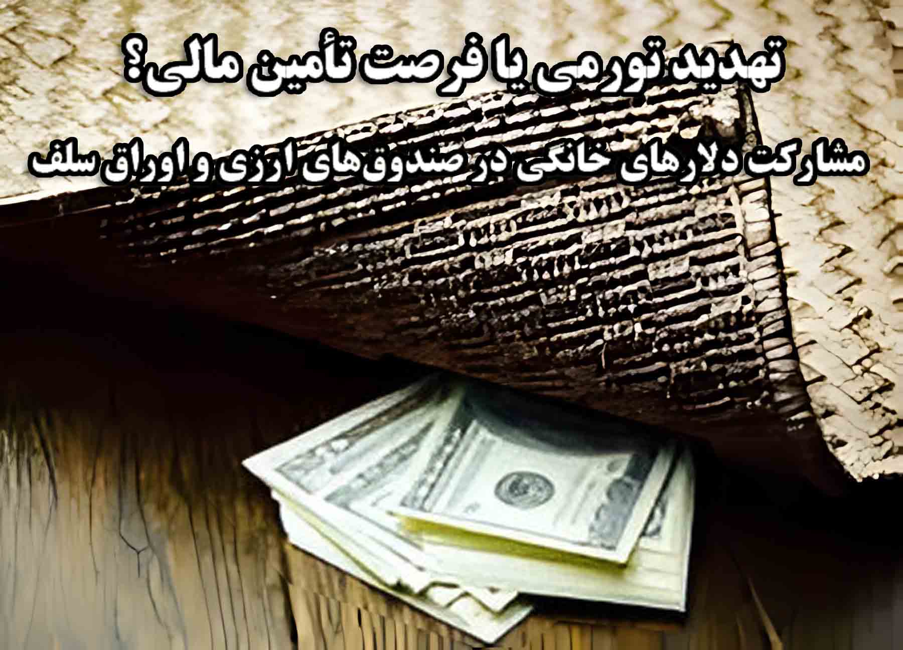 تهدید تورمی یا فرصت تأمین مالی؟/ مشارکت دلارهای خانگی در صندوق‌های ارزی و اوراق سلف