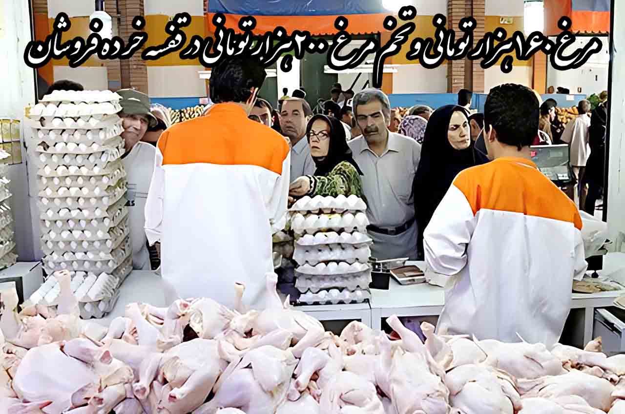 مرغ ۱۶۰ هزار تومانی و تخم‌مرغ ۲۳۰ هزار تومانی؛ فاصله بازار تا مصوبه دولت