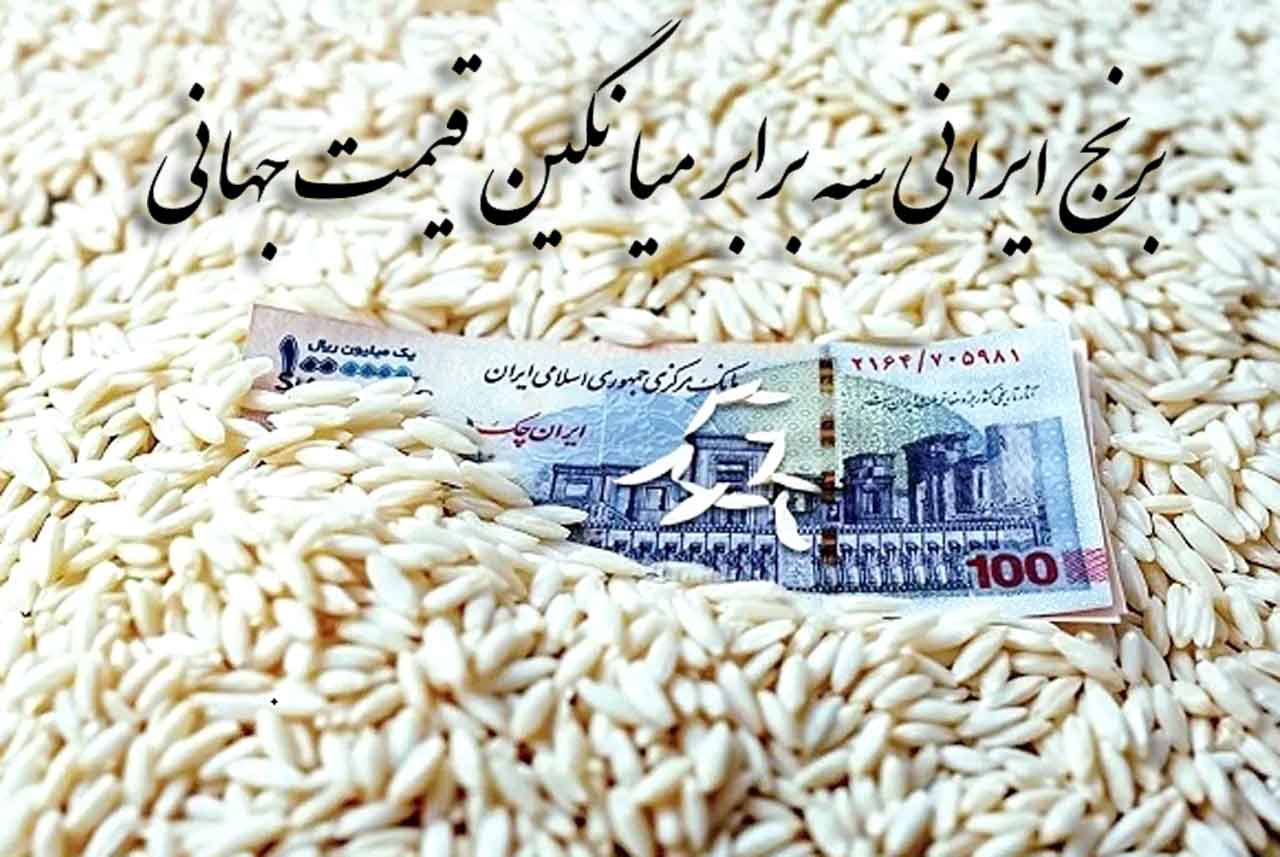 برنج ایرانی سه برابر قیمت جهانی؛ از دلالی و واردات تا وعده تعادل در فصل برداشت