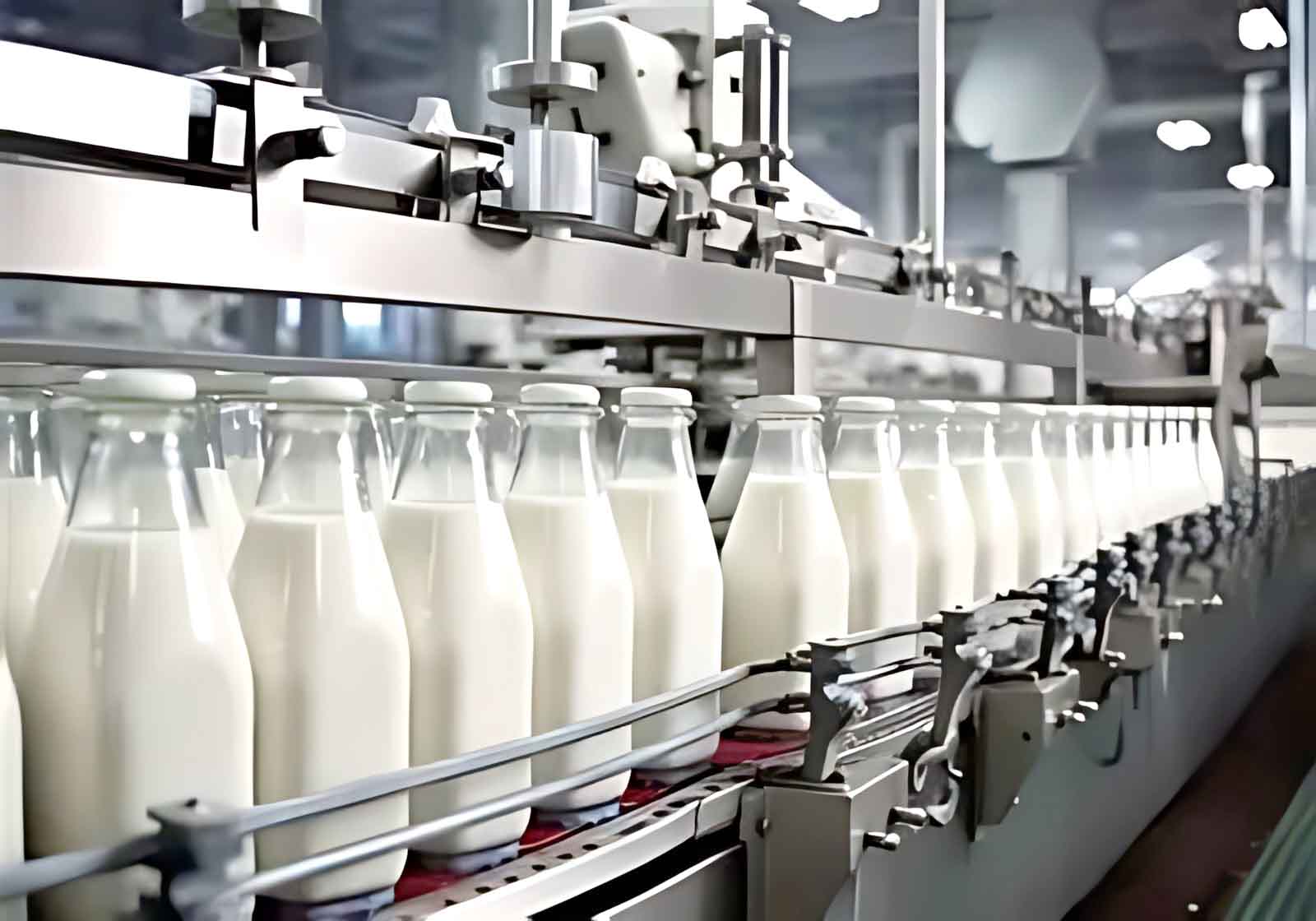 هیچ نرخ جدیدی برای شیر اعلام نشده، اما قیمت‌ها بدون برنامه رشد کرده است