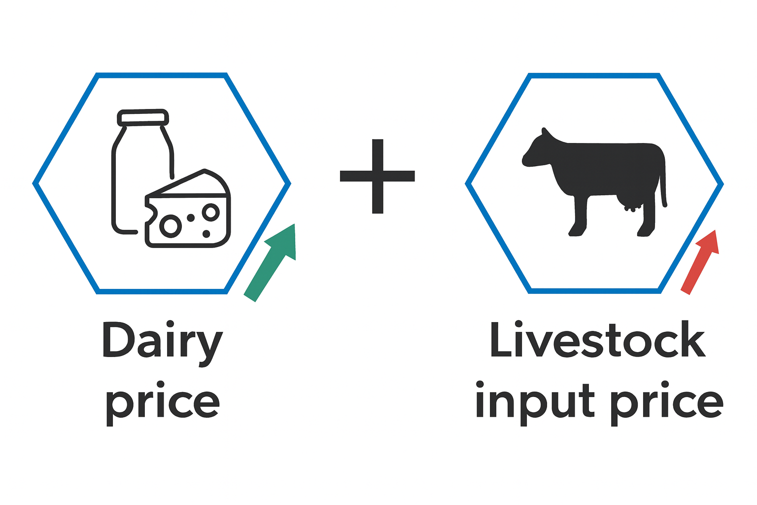 خوراک دام دو برابر نرخ مصوب فروخته می‌شود/ دامداران در آستانه ورشکستگی‌اند!