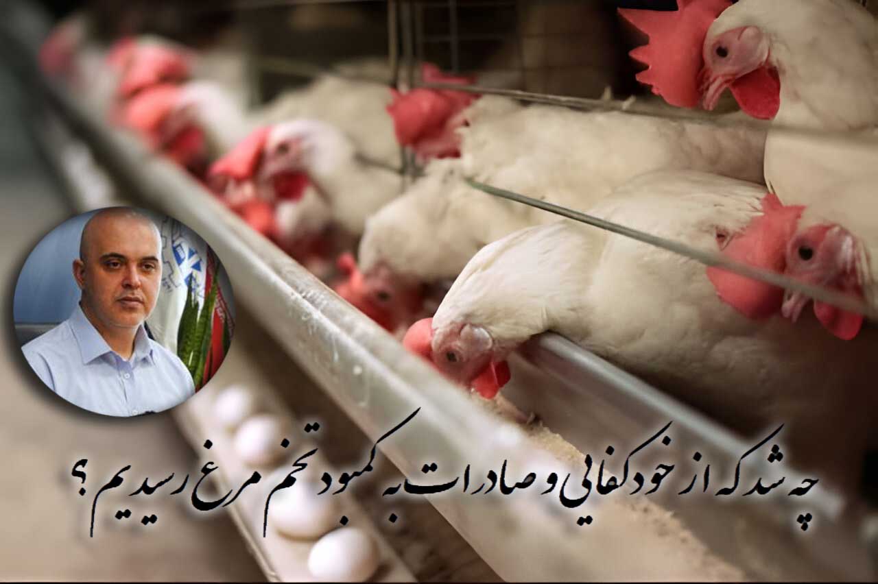 چه شد که از خودکفایی و صادرات به کمبود تخم مرغ رسیدیم؟