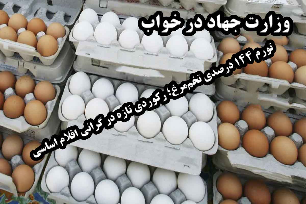 تورم ۱۴۴ درصدی تخم‌مرغ؛ رکوردی تازه در گرانی اقلام اساسی/ وزارت جهاد در خواب ناز؛ سفره مردم اینبار عاری از تخم مرغ
