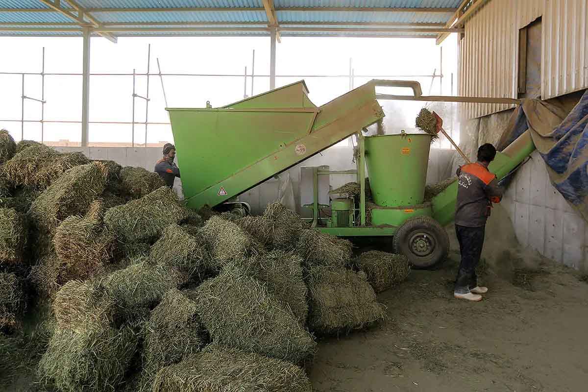 خالی فروشی وزارت نفت و بانک مرکزی/ اثر اختلالات ارزی بیشتر از تحریم‌هاست