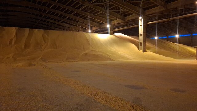 موانع تأمین و ترخیص نهاده‌های دامی در بندر امام خمینی برطرف شده است