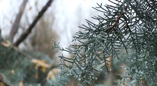 بارش‌های اخیر کم‌آبی کشور را جبران نمی‌کند