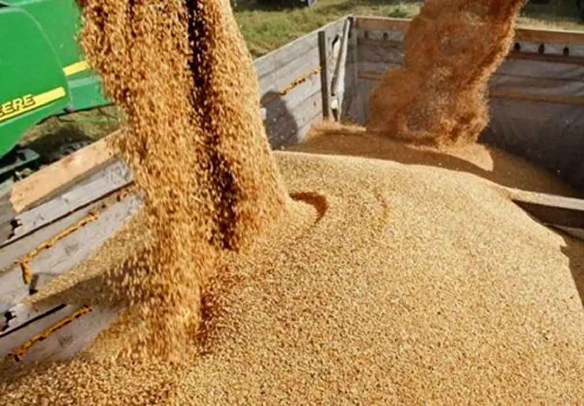 وزارت نفت نتوانست ارز واردات کالاهای اساسی را بپردازد/ ٢٠ کشتی منتظر تخلیه هستند