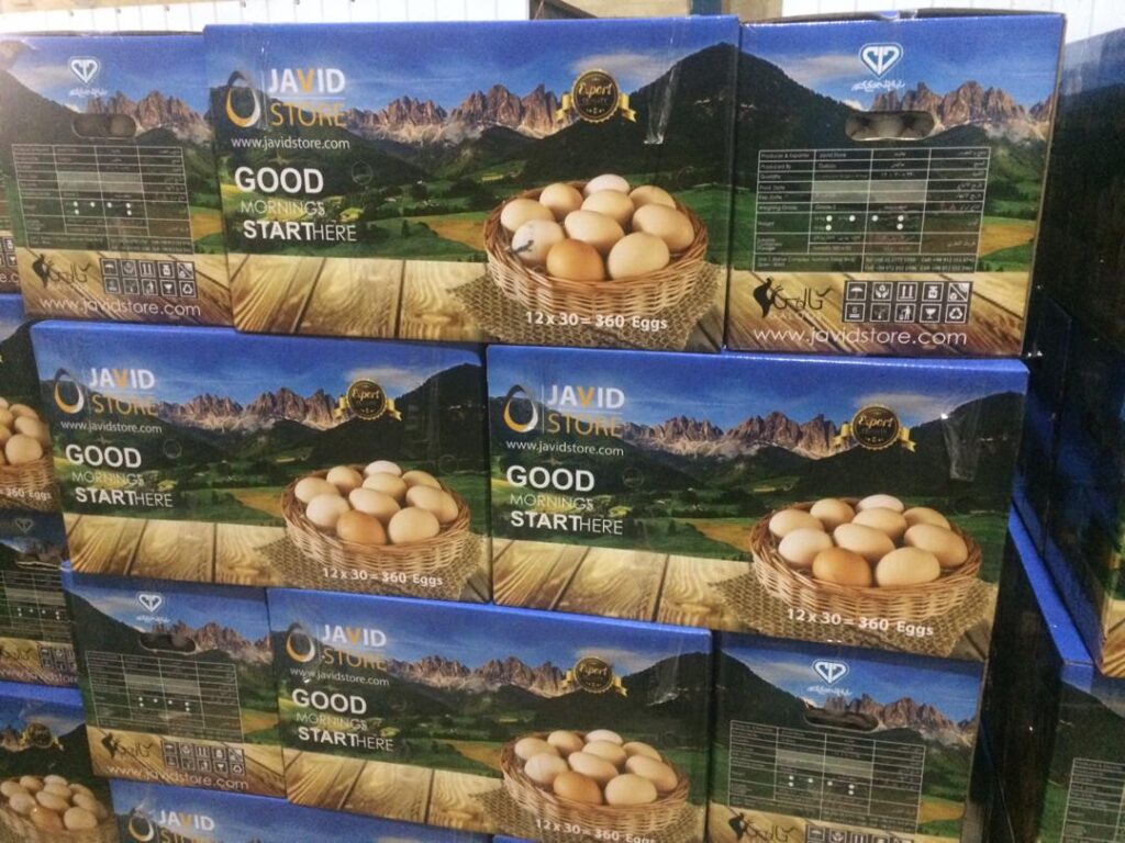 صادرات گسترده مرغ و تخم‌مرغ با ارز ۲۸۵۰۰ تومانی/ یارانه ارزی کالاهای اساسی به جیب صادرکنندگان رفت