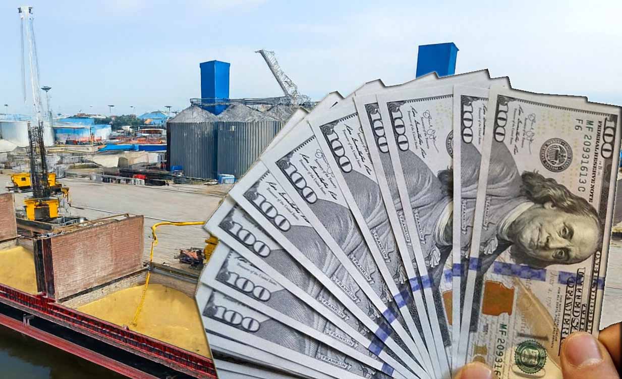 رانت ارز ترجیحی در واردات نهاده‌ها؛ عامل اصلی جهش قیمت‌ها و تورم لجام‌گسیخته در بازار کالاهای اساسی