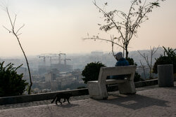 هوای تهران آلوده است