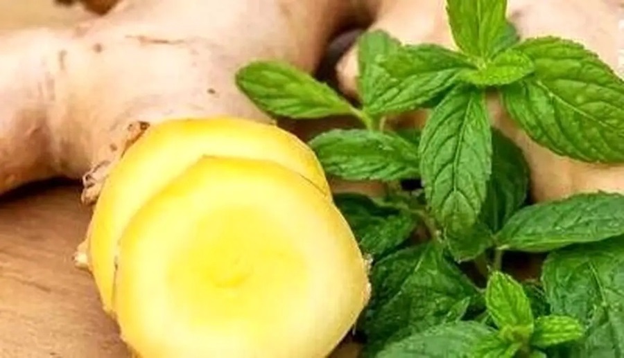 بهترین درمان خانگی حالت تهوع/ فرق زنجبیل و نعناع برای درمان تهوع