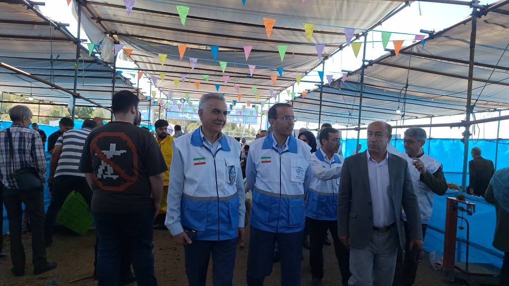 دامپزشکی