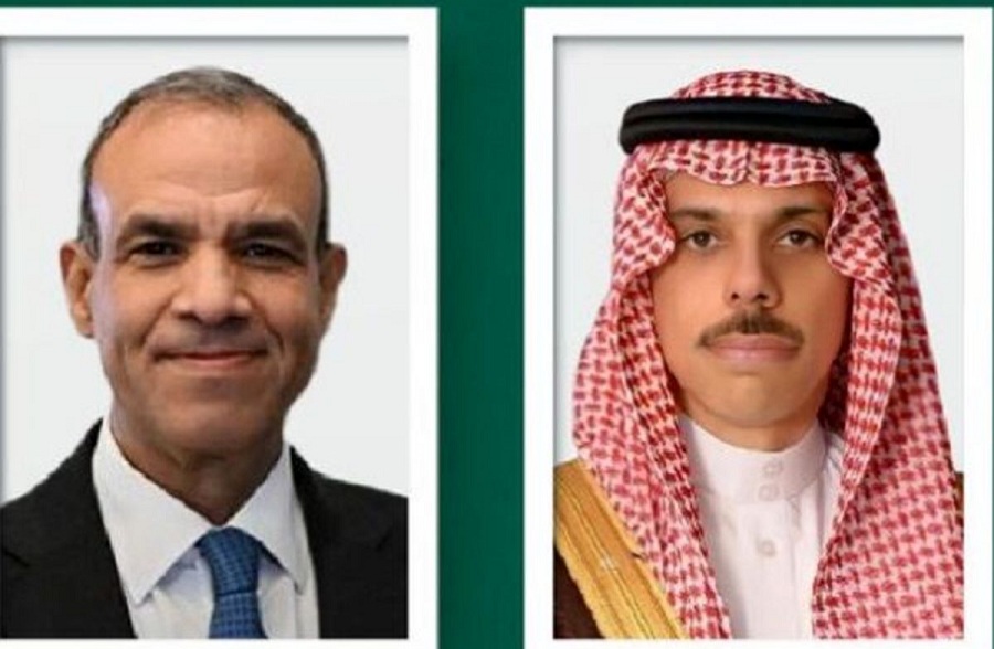  تماس تلفنی وزرای خارجه عربستان و مصر برای توقف تنش در منطقه