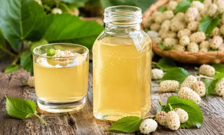 خواص شگفت‌انگیز توت سفید را در یک لیوان شربت خانگی جمع کنید+نکات فوت و فن
