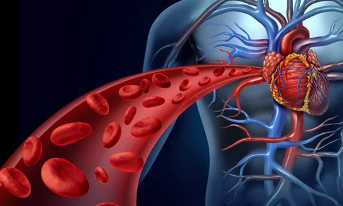 پیشگیری از لخته شدن خون با رژیم غذایی