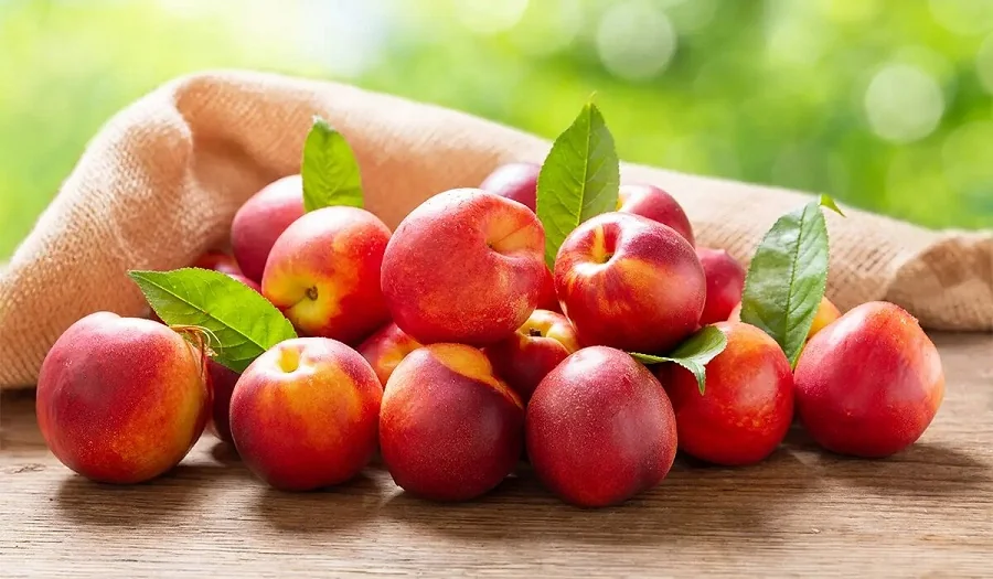 فواید شگفت‌انگیز شلیل برای لاغری و کنترل قند خون