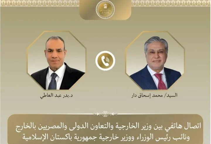 تاکید وزیران خارجه مصر و پاکستان بر گفتگو به عنوان تنها راه حل مسائل منطقه