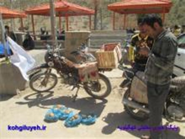 تخریب گیاهان کوهی تا فروش قارچ طبیعی از 25 تا 32 هزار تومان در روستاهای دیشموک+ تصاویر