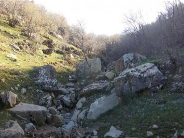 تصاویری زیبا از طبیعت بهاری شهرستان صحنه
