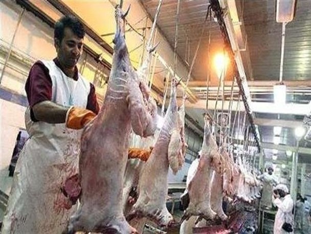 کشتارگاه آمل از هیچ استانداردی برخوردار نیست/ وعده مسئولین برای احداث کشتارگاه صنعتی تا دو سال آینده