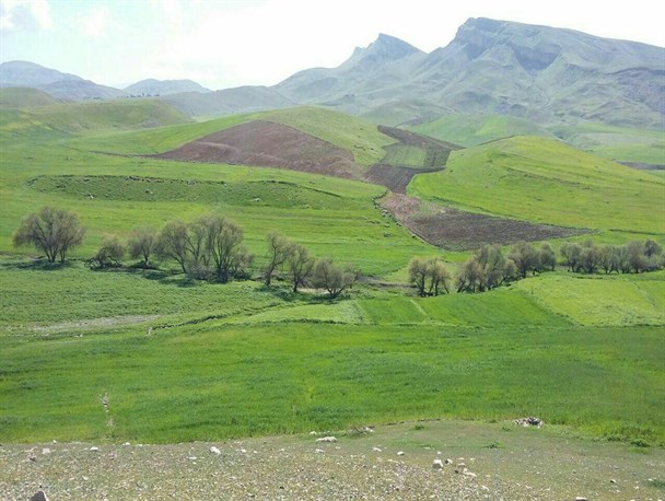 طبیعت بهاری شهرستان سرپلذهاب از دریچه دوربین