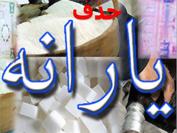 مسیرهدفمندی یارانه ها از ابتدا اشتباه بود/دولت به تولید اهمیت دهد