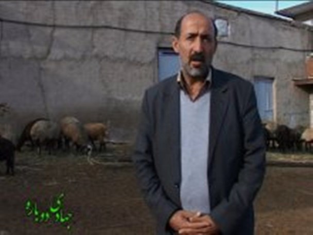تحقق اقتصاد مقاومتی با پرورش دام‌های سبک و ایجاد اشتغال برای 7 نفر+ تصاویر