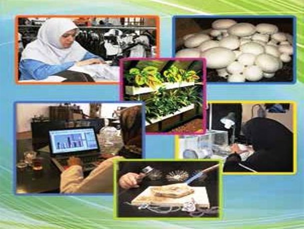 مشاغل خانگی بهترین روش ورود زنان به عرصه اقتصاد