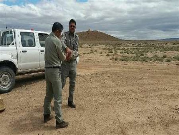 رهاسازی یک قطعه هوبره در پناهگاه میاندشت جاجرم