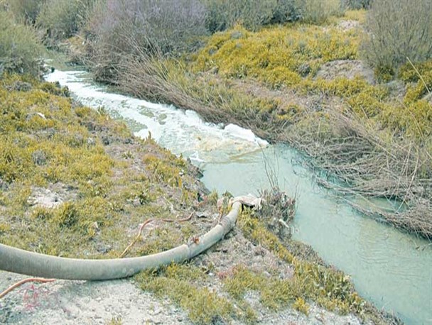 آزاد سازی ۱۵۰۰  هکتار از زمین‌های اطراف کشف رود/ حل مشکلات آب در هلند و ایران نیازمند بهره‌گیری از تجربیات ۲  کشور است