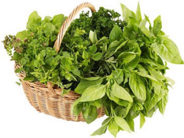 سبزیجات برای خونسازی و هضم غذا بسیار مفید است