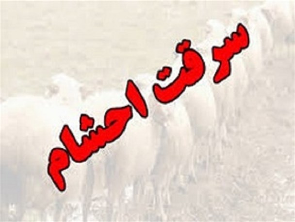 انهدام باند حرفه‌ای سارقان احشام در بوئین زهرا