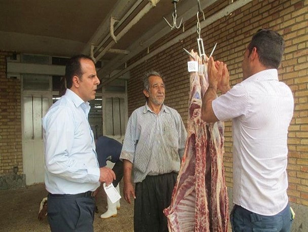 آغاز طرح لیبل گذاری لاشه های گوشت در کشتارگاه شهرستان نطنز