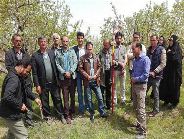 برگزاری کارگاه آموزشی پیوند زنی و هرس درختان میوه در شهرستان مرند
